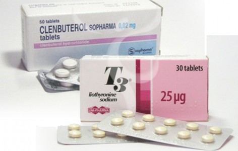 Clenbuterol T3 Cytomel Stack